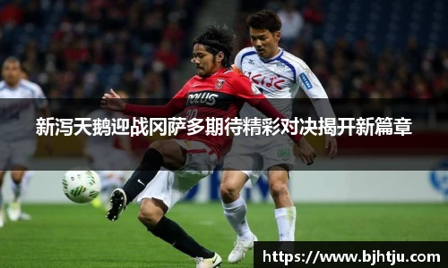 球友体育直播